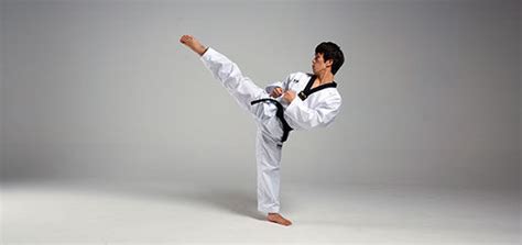 Roundhouse Kick | Taekwondo Wiki | Organic Articles