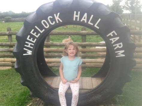 Wheelock Farm, Sandbach - A 'wheely good day out' - Mini Travellers - Family Travel & Family ...