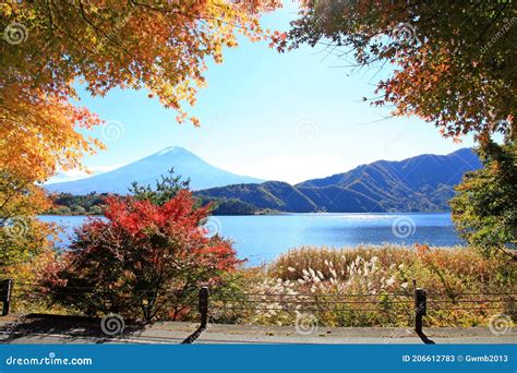 Lake Kawaguchi in Japan stock image. Image of fujisan - 206612783