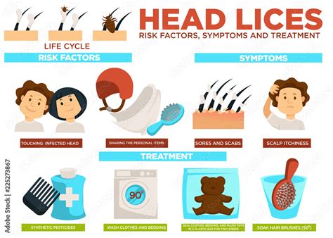 Head lice risk factors symptoms and treatment poster vector Stock Vector | Adobe Stock