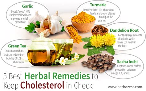 How To Lower Cholesterol More Alternative_medicine - Contestgold8