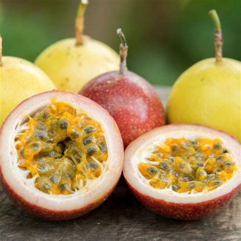 Organic Passion Fruit Red and Yellow Seeds - Open Pollinated