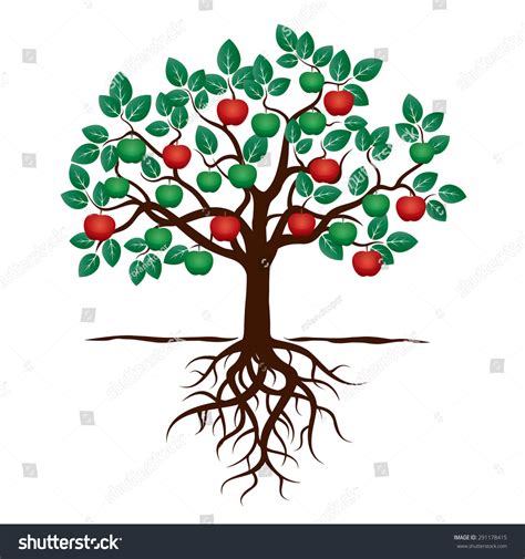 Árbol joven con hojas verdes, raíces: vector de stock (libre de ...