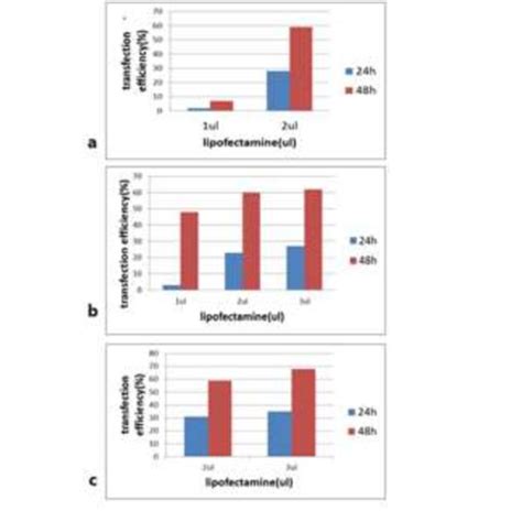 Transfection efficiency for different amounts of plasmid. A:1 ?g ...