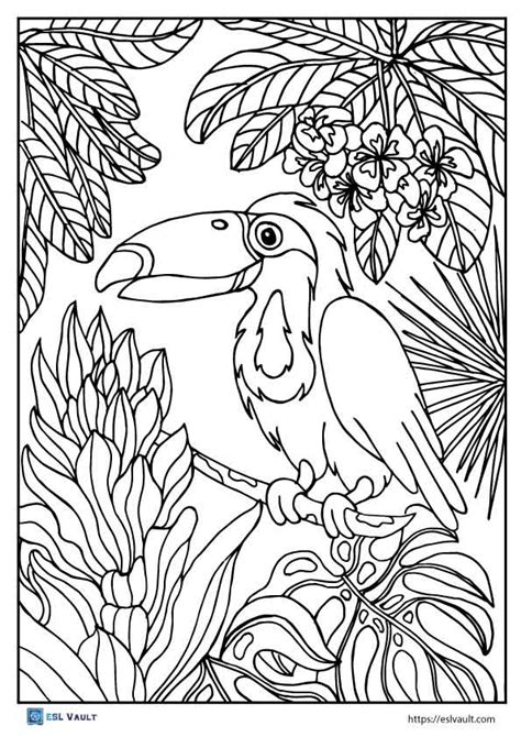 Coloring Pages Of Tropical Bird