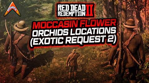 RDR2 - Moccasin Flower Orchids Locations (Exotic Request 2) - YouTube