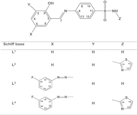 Structures of Schiff base ligands (L¹–L⁴) | Download Scientific Diagram