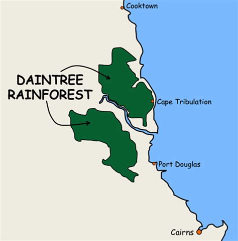 Daintree Rainforest