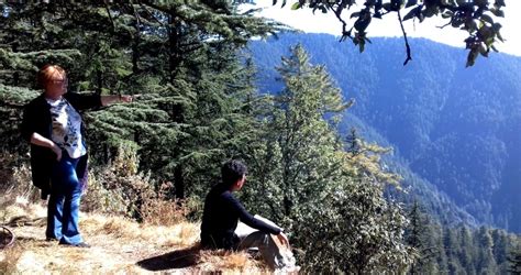 Shali Tibba Peak Hike - The Best Day Trek Around Shimla | Shali peak ...