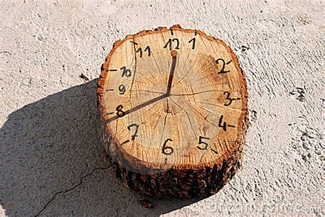 Morning lifestyle clock | Natural playground, Gardening for kids, Sundial