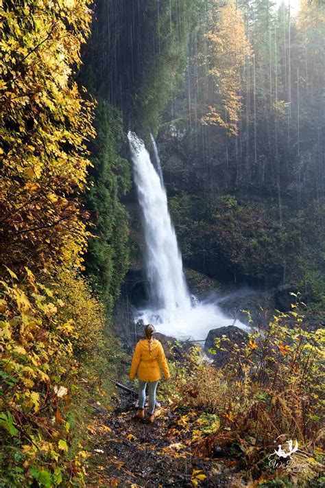 2024 Guide to North Falls, Oregon in Silver Falls State Park ⋆ We Dream ...