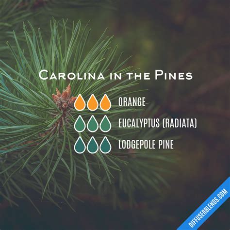 Carolina in the Pines | DiffuserBlends.com