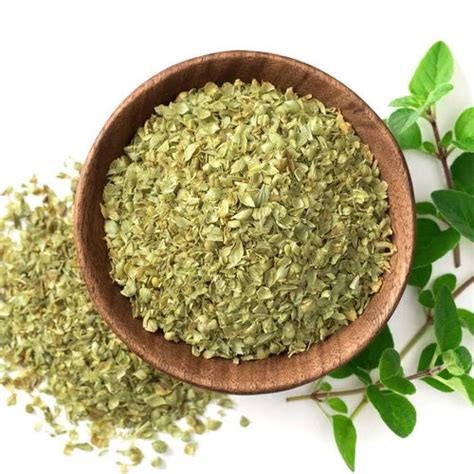 Oregano Leaves at Best Price in Ahmedabad, Gujarat | All Herbscare