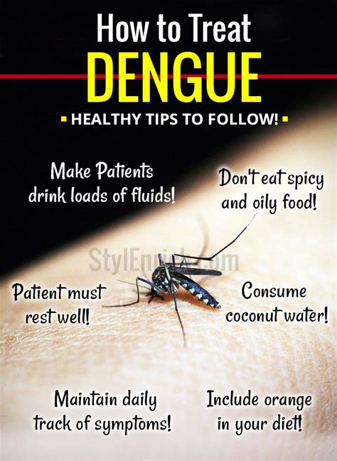 Dengue Treatment : Taking Care and Healthy Tips to Follow!