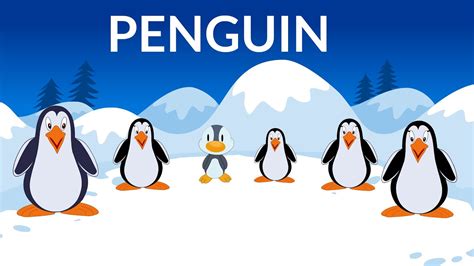 Learn about Penguins | Penguin Information | Video for Kids - YouTube