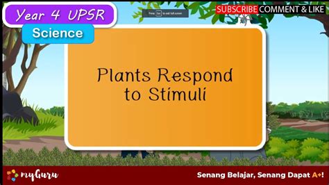 How Do Plants React To Stimuli? The 6 Top Answers - Chiangmaiplaces.net