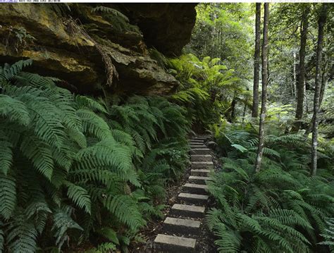 Wanderlust: Blue Mountains National Park.