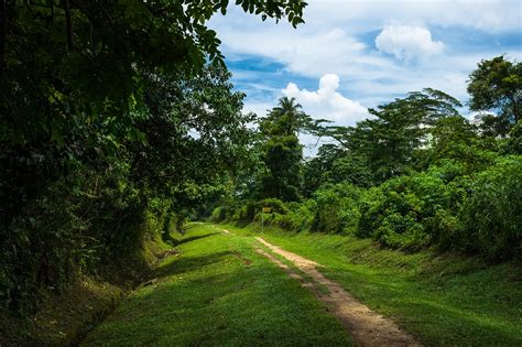 Bukit Timah Nature Reserve - Eco-Tourism and Adventures in Singapore - Go Guides