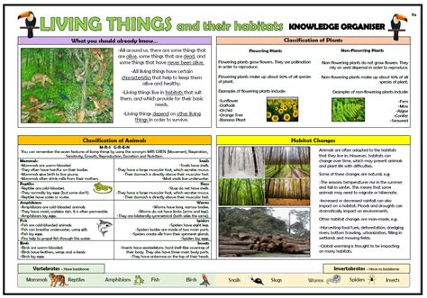 Year 4 Living Things and their Habitats Knowledge Organiser! | Teaching Resources