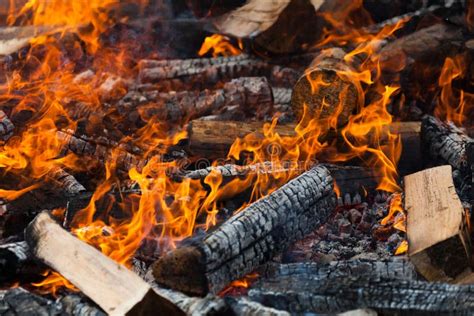 Burning Log stock image. Image of firewood, coal, fire - 37655205