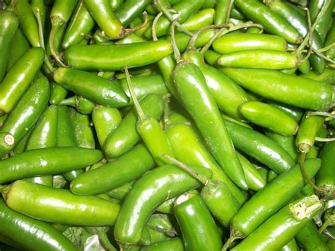 Green Chili Free Stock Photo - Public Domain Pictures