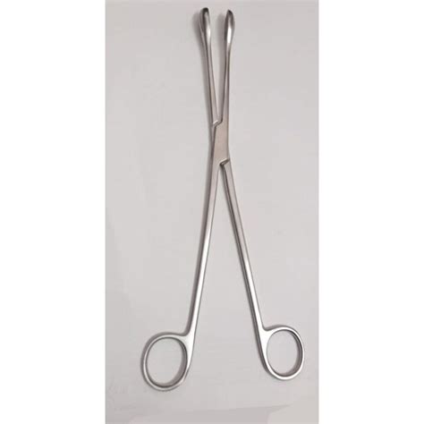 Silver Stainless Steel 12inch Om Sponge Forceps at Rs 330/piece in ...