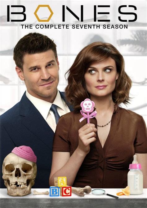 Bones Season 7 DVD - Bones Photo (31507809) - Fanpop