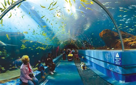 World Visits: Georgia Aquarium in United States