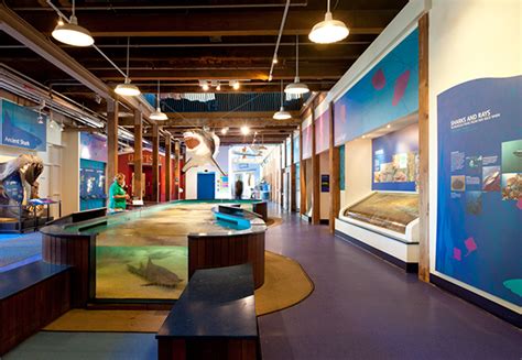 The Maritime Aquarium | Norwalk, CT | Exhibits on RISD Portfolios