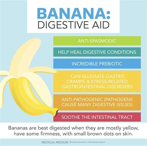 Bananas: Digestive Aid | Medical medium, Healing, Digestion aid