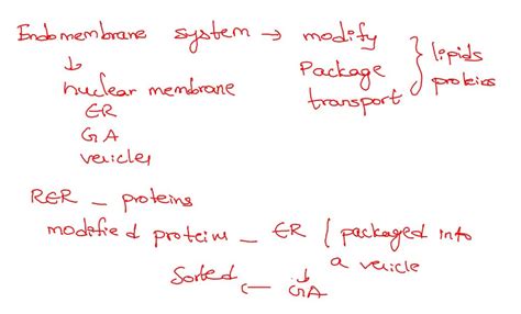 SOLVED: BioFlix Activity: Tour of an Animal Cell Endomembrane System. Can you trace the movement ...