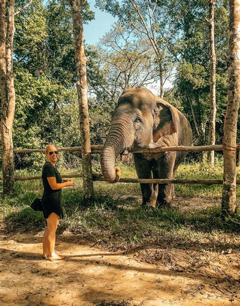 Visit This Truly Ethical Elephant Sanctuary in Phuket, Thailand ...