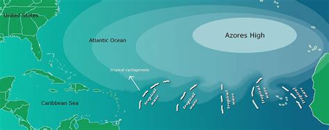 What exactly is a tropical wave?