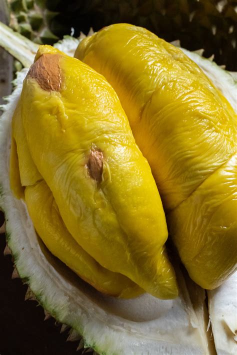 Why are durian prices rising? Durian season ending?! - Durian Delivery ...