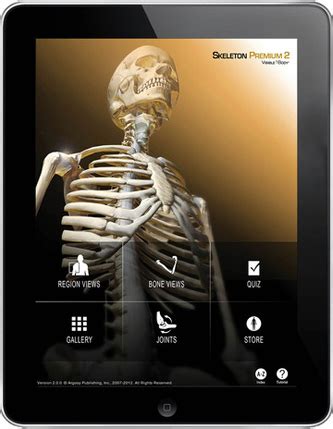 Download Visible Body Skeleton Premium v2 0 0 For PC - Driver Software Tips