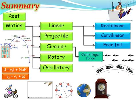 Types of Motion (Physics) | Teaching Resources