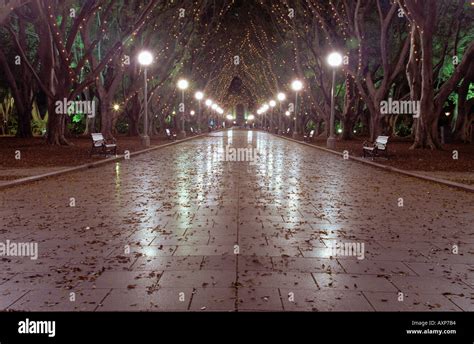 Sydney Hyde Park at Night Stock Photo - Alamy