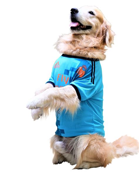 Football Jersey in Atheltic Blue » Doxters Lab