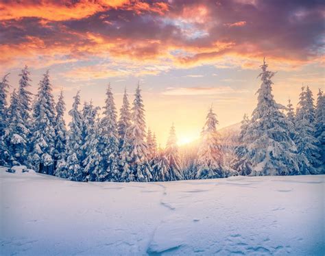 What is the Winter Solstice?