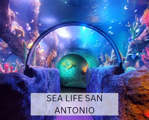 SEA LIFE San Antonio