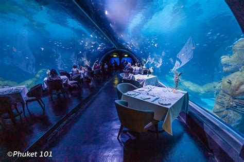 Aquaria Just Opened The World's Largest Underwater Restaurant In Phuket