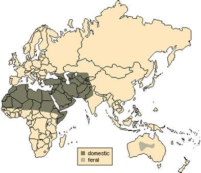 Camel Distribution Map - Altina Wildlife Park