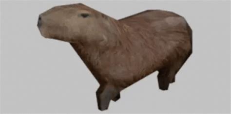 Capybara Lowpoly GIF - Capybara Lowpoly - GIF 탐색 및 공유