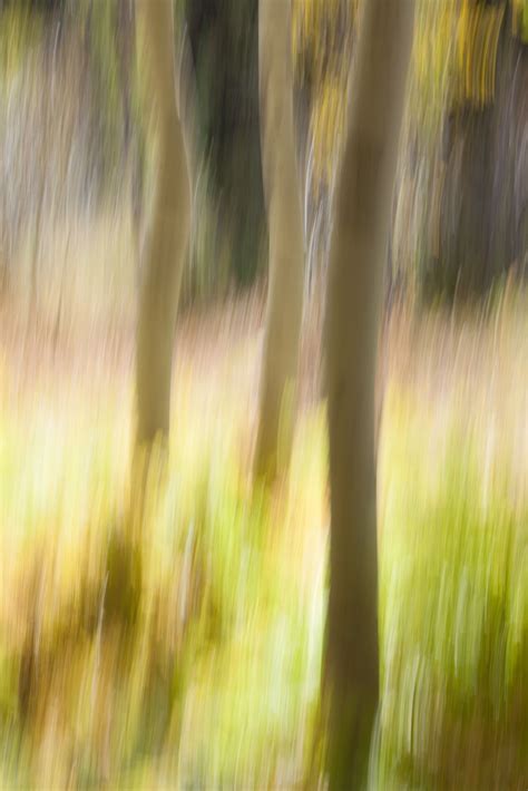 ShutterbugMama: Abstract Landscape Photography