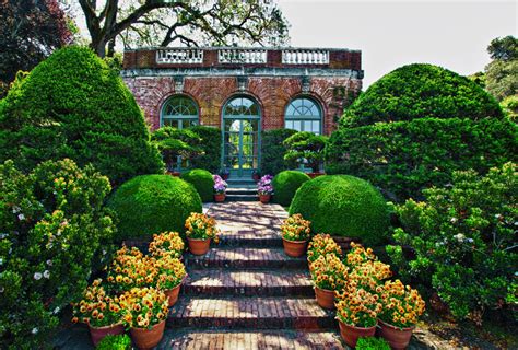 Rick Williams Photography: Filoli Gardens