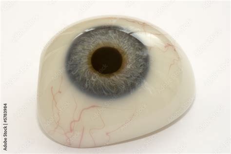 Prosthetic eye Stock Photo | Adobe Stock