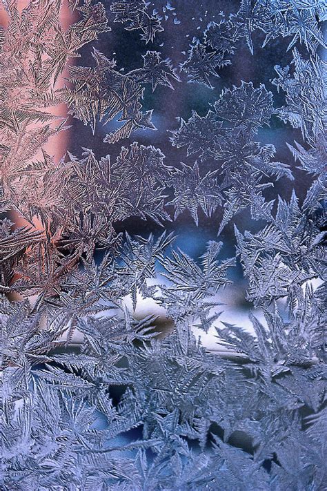 Frost Patterns on Window 6 Photograph by Victor Kovchin - Fine Art America