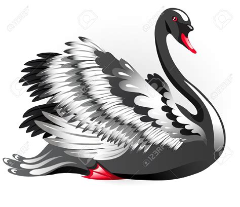 Download Black Swan clipart for free - Designlooter 2020 👨‍🎨