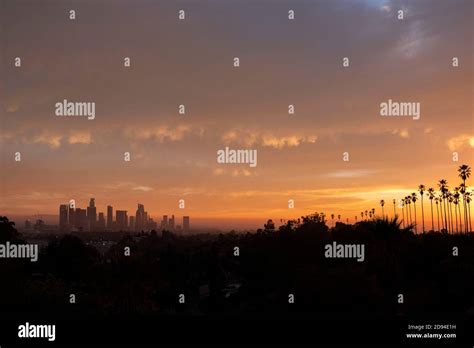 Spectacular sunset over the Los Angeles downtown skyline and palm trees ...