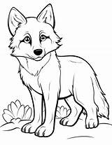 50 Wolf Coloring Pages Printable Sheets sketch template
